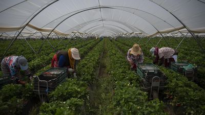 'No action too small' as Europe promotes ecological transition