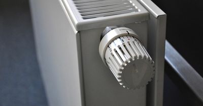 Expert says you can cut £70 from your gas bill with a simple boiler trick