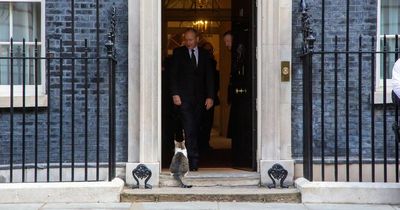 Taoiseach Micheal Martin gets frosty reception from one resident of Downing Street