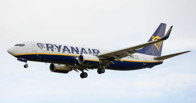 Rowdy Ryanair passengers smoking on board kicked off flight by police at airport