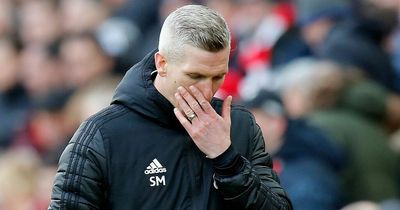 Steve Morison was Cardiff City's Brexit manager but what happens with the next appointment is anyone's guess