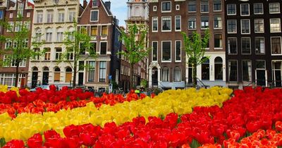 The Netherlands drops Covid vaccination rules - unvaccinated Brits can now holiday in Holland