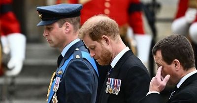 Prince William's simple gesture to 'excluded' Harry signals feud breakthrough, says expert