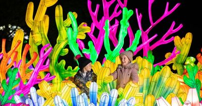 Dublin Zoo Wild Lights returning with exciting new theme