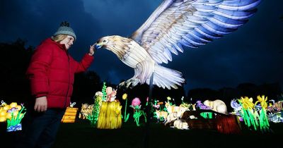 Dublin Zoo's Wild Lights to return this winter but will be 'taken off energy grid' to help with supply