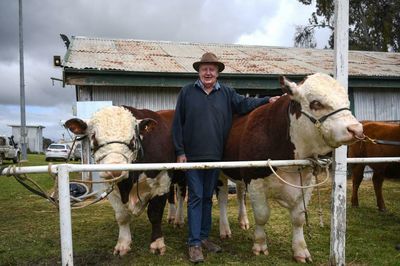 ‘Bigger and better than ever’: Australia’s rural shows bounce back after tough years