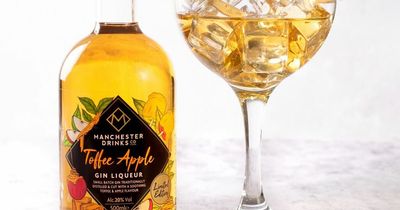 Toffee Apple Gin is back at Home Bargains for £6.99