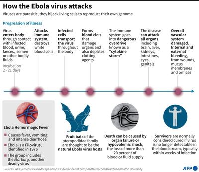 The Ebola virus: profile of a dreaded killer