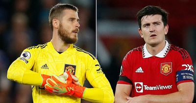 Harry Maguire 'frustrated' with David de Gea as Man Utd captain faces 'harsh reality'