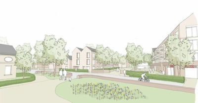 Early glimpse of major £60m revamp on cards for new town estates