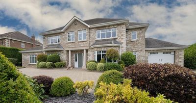 Dublin's most popular home with hot tub is on sale for over €1.2 million
