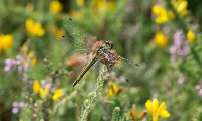 Send us pictures of your favourite local habitats and nature spaces