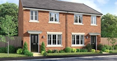 Look of new 67-home development revealed to the public