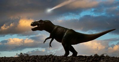 Dinosaurs 'already heading for extinction' when planet was hit by huge asteroid