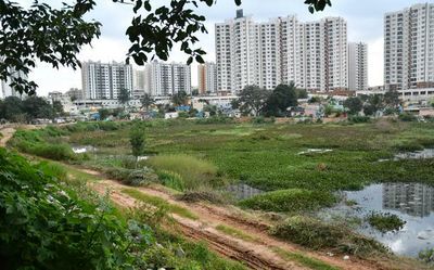 Anti-encroachment drive in Bengaluru skips over lakes