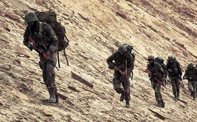 Grazing lands turning into buffer zones, says chief of village bordering LAC