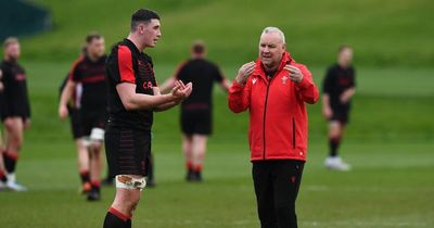 Wales star rings Wayne Pivac to ask why he didn't pick him