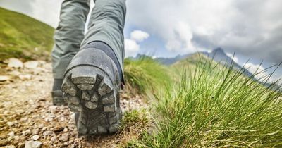 Walking briskly for 30 minutes a day is key to lowering dementia risk, research suggests