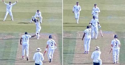 Cricket fans in stitches as Hampshire bowler imitates umpire by giving batter out lbw