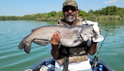Chicago fishing, Midwest Report: Nearshore salmon/trout, bluegills, smallmouth, largemouth, catfish