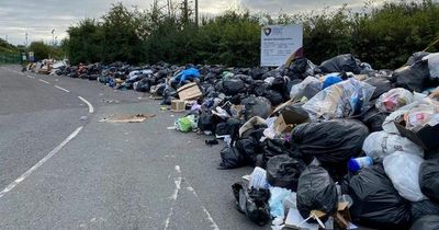 Bin strike at Armagh City, Banbridge & Craigavon Council could end after pay proposal