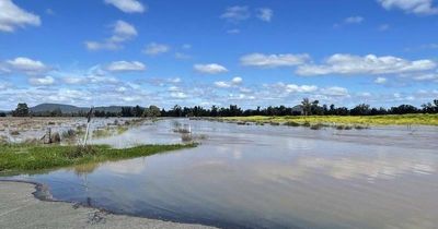 Severe weather warning for parts of NSW: Hunter to cop a drenching