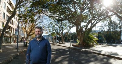 Hunter Street fig trees have to go: council