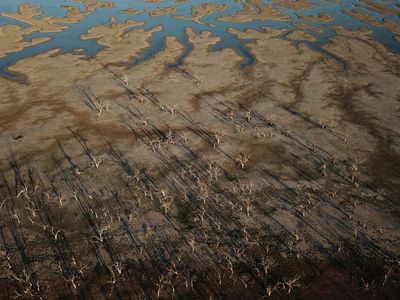 Overdue NSW water plan for basin approved