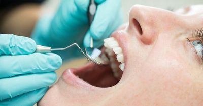 UK adults admit to conducting 'DIY dentistry' amid access crisis, according to poll