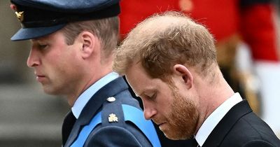 Feuding William & Harry's temporary truce will remain in place until memoir is published