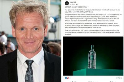 Gordon Ramsay's gin adverts banned over false fruit claims