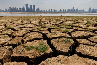 China's record-breaking drought hits major rice-growing regions