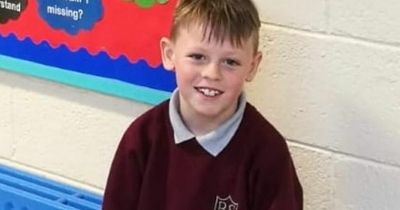'Treasured' 11-year-old died after falling 12ft in tragic accident in Co Louth