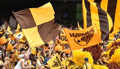 AFL investigating ‘harrowing’ allegations of bullying of Indigenous players at Hawthorn