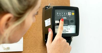 Electricity meter warning as there's just 10 days left to submit reading