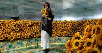 10,000 sunflowers and family letters: take a look inside Van Gogh Alive