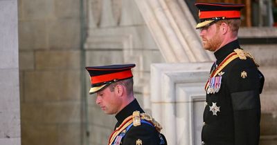 Removal of 'ER' from Prince Harry's uniform 'shows royal family's trust is broken'