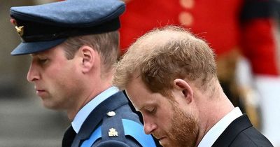 Prince William and Harry's short term agreement over Queen's death to last until memoir is published