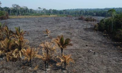 Indigenous leaders urge businesses and banks to stop supporting deforestation