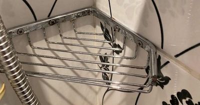 Savvy shopper's nifty 20p cleaning hack that will banish rust from your home