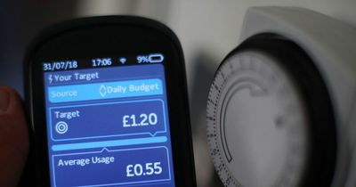 Experts issue 10 day warning to everyone with electricity meter