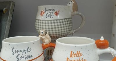 Home Bargains shoppers swoon over 'adorable' new autumn themed mugs