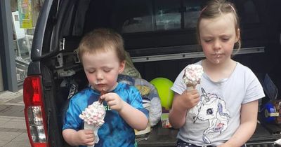 Woman in her 40s arrested over car fire that killed tragic siblings in Westmeath