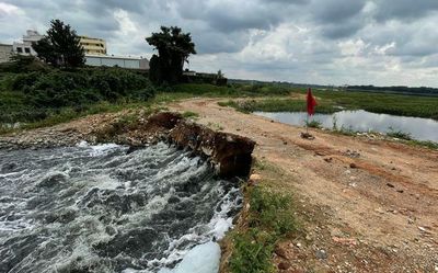 What ails our lakes: Lack of desilting compromises water-holding capacity of lakes, leading to floods