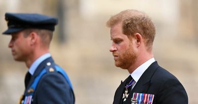 Prince Harry 'found out about Queen's death on flight five minutes before public statement'