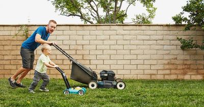 Airbnb guests rage at chore lists including feeding chickens and mowing the lawn