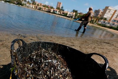 Spain gives personhood status to Mar Menor salt-water lagoon