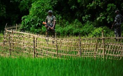 Assam, Mizoram to form border panels