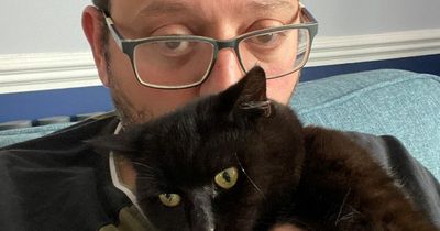 'My neighbour tried to forcibly adopt my cat - I think they're going to steal him'