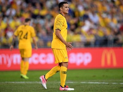 Roos must make use of firepower: Cahill